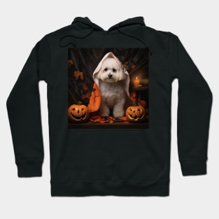 Halloween Bichon frise puppy Hoodie